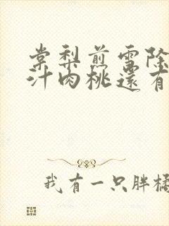 棠梨煎雪除了蜜汁肉桃还有什么肉