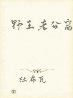 野王老公窝