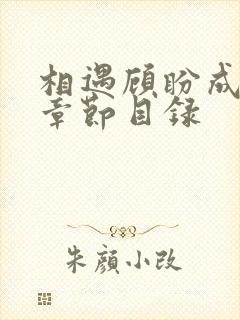 相遇顾盼成欢全章节目录