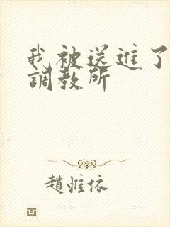 我被送进了私奴调教所