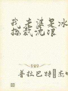 我老婆是冰山女总裁沈浪