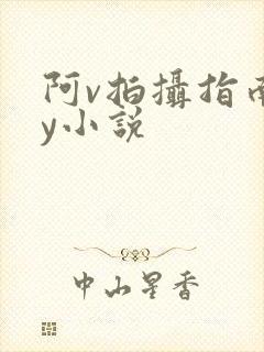 阿v拍摄指南by小说