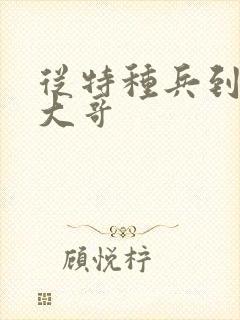 从特种兵到黑道大哥