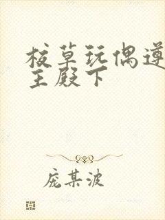 校草玩偶遵命公主殿下