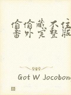 偷偷藏不住新婚番外完整版