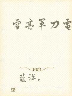 雪亮军刀电视剧