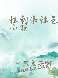 性刺激性色爽爱小说