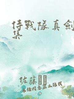 侍战队真剑者全集