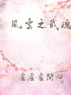 风云之武魂