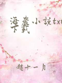 海岩小说txt下载