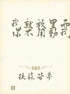 我就放里面不动你不用动我动