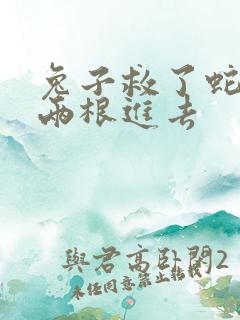 兔子救了蛇被蛇两根进去