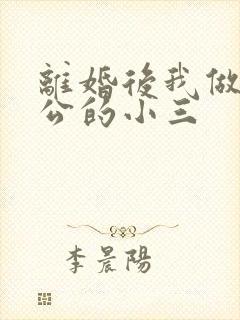 离婚后我做了老公的小三