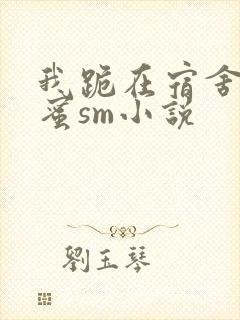 我跪在宿舍被闺蜜sm小说