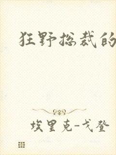 狂野总裁的女人