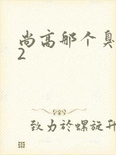 尚高那个臭小子2
