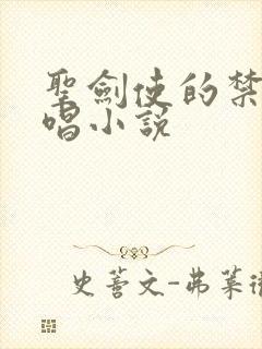 圣剑使的禁咒咏唱小说