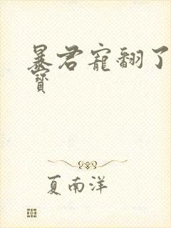 暴君宠翻了小娇宝