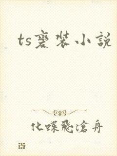 ts变装小说