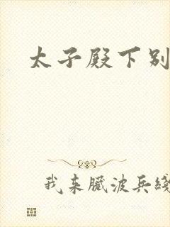 太子殿下别惹我