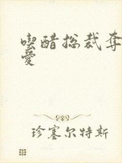 吃醋总裁夺情霸爱