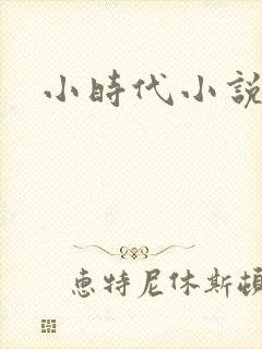 小时代小说阅读
