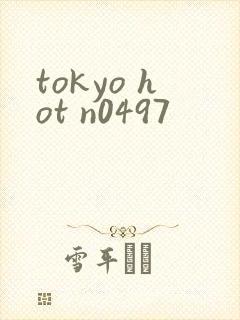 tokyo hot n0497