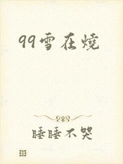 99雪在烧