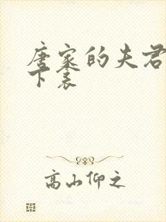 唐家的夫君们帘下衾