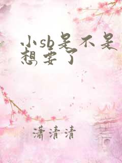 小sb是不是又想要了