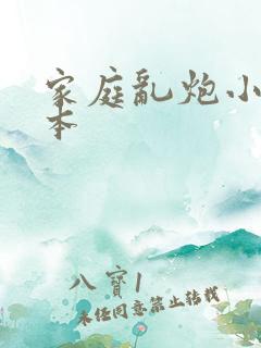 家庭乱炮小说全本