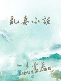 乱妻小说