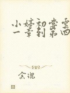 小婷初尝云雨第一章到第四章