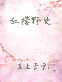 红楼野史