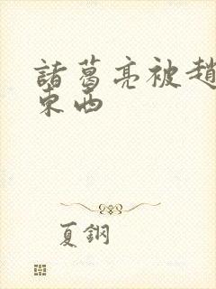 诸葛亮被赵云塞东西