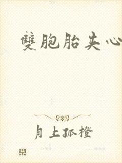 双胞胎夹心运动