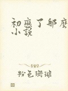 初恋了那么多年小说