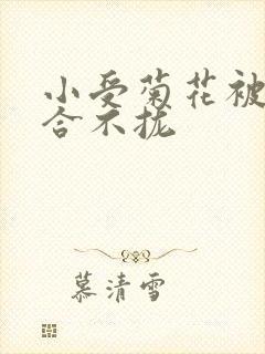 小受菊花被双龙合不拢