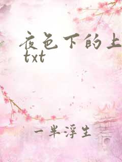 夜色下的上海滩 txt