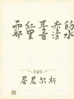 面红耳赤的小说哪里看清水村花