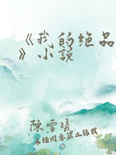 《我的绝品韵母》小说