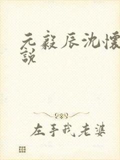 元毅辰沈怀妆小说