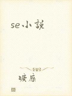 se小说