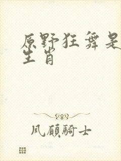 原野狂舞是什么生肖