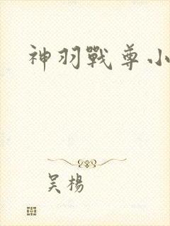 神羽战尊小说