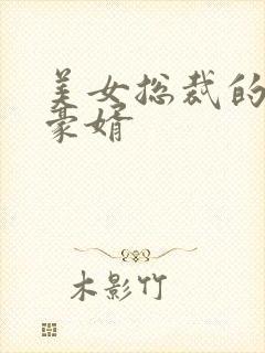 美女总裁的顶级豪婿