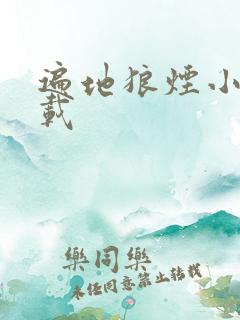 遍地狼烟小说下载