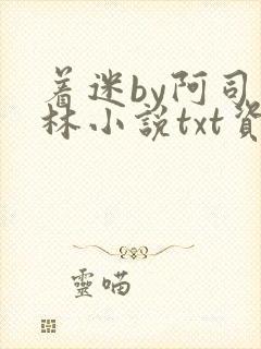 着迷by阿司匹林小说txt资源