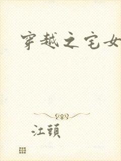 穿越之宅女夫人