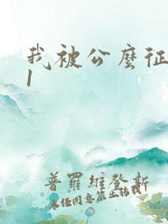 我被公么征服了1